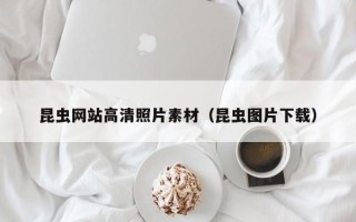 安溪昆虫网站高清照片素材（昆虫图片下载）